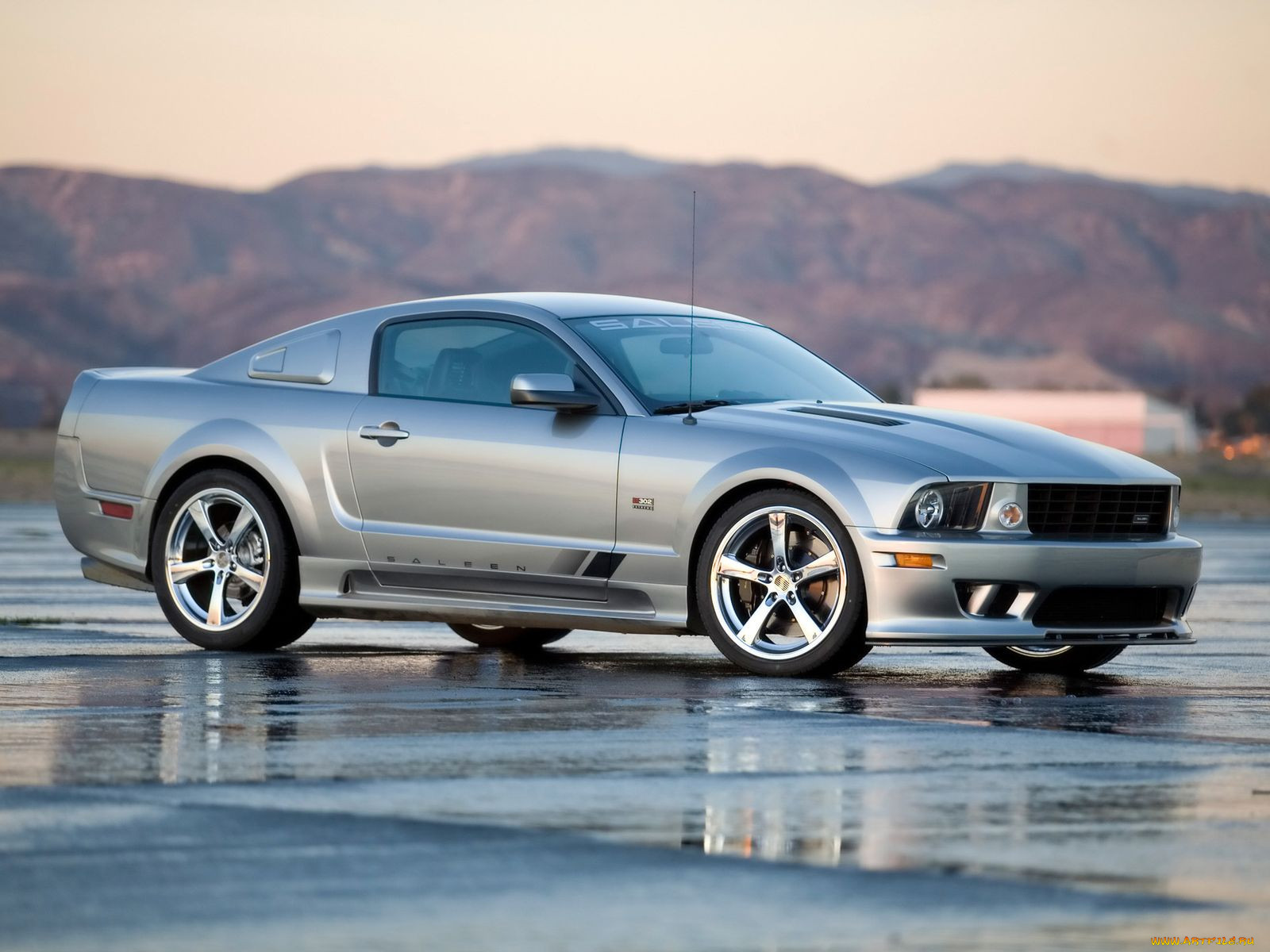 , mustang